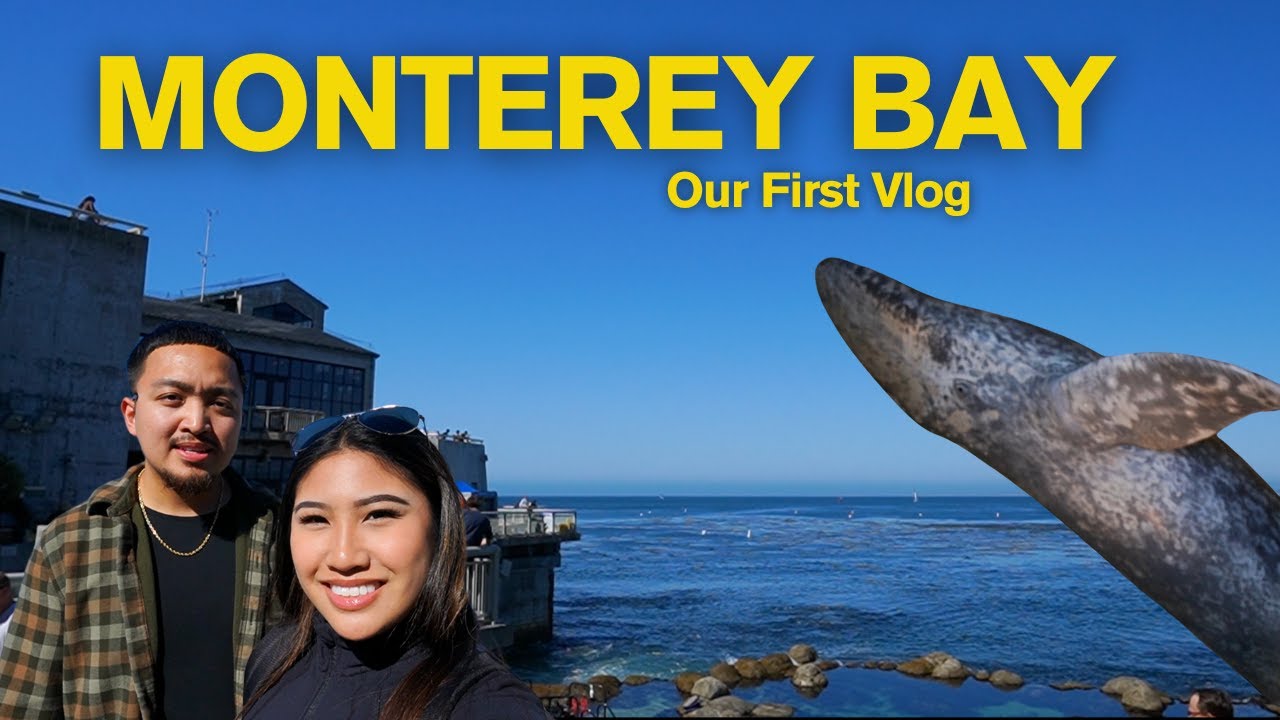 An ADVENTUROUS DAY trip to Monterey Bay Aquarium!!!
