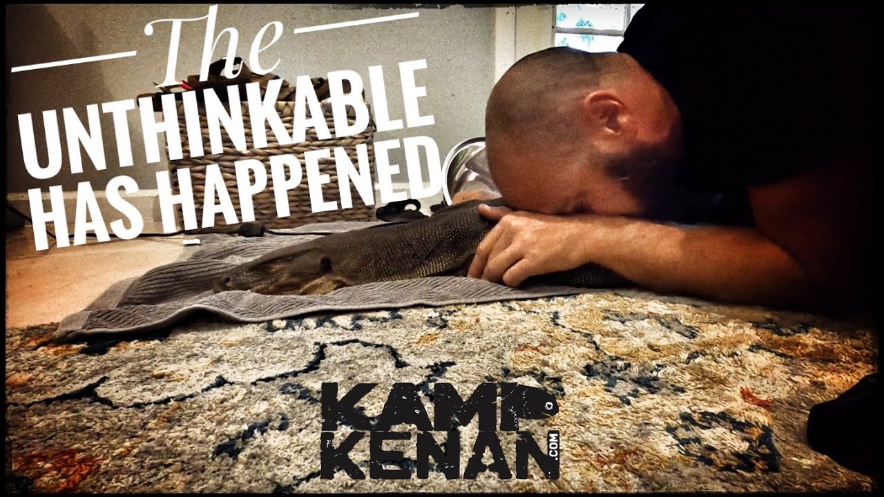 Heartbroken over Slinky (Frozen Overnight)