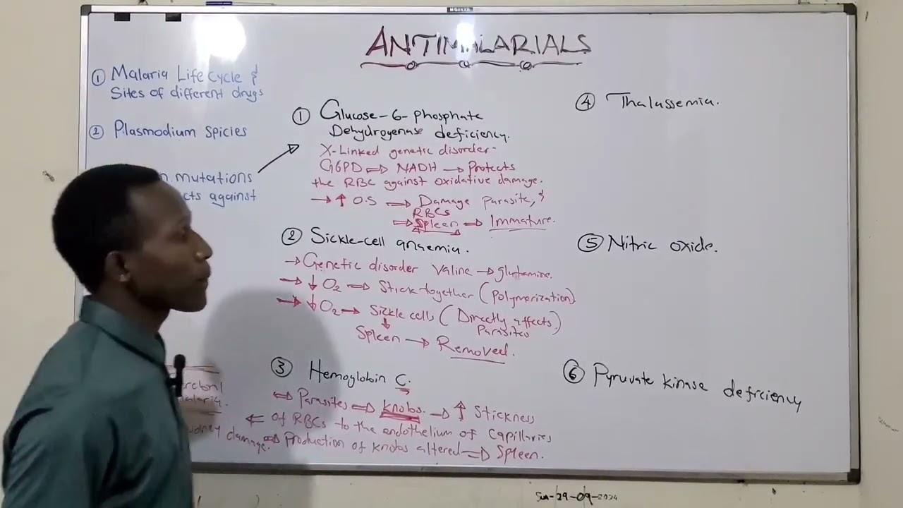 Human mutations that protect against malaria ( antimalarials part 2)