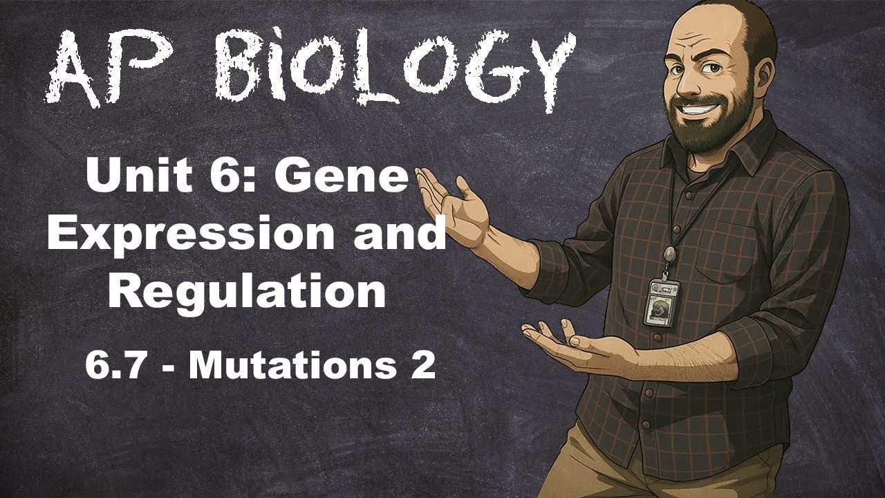 AP Bio, Раздел 6 – Тема 6.7 – Мутации (Часть 2)