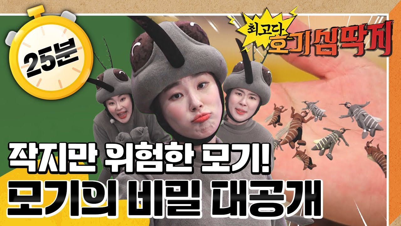 🦟왱왱~ 모기 탐구! 모기가 병도 옮긴다?!｜#말라리아모기 조심해!｜💡최고다! 호기심 딱지💡｜[EBS놀이터]
