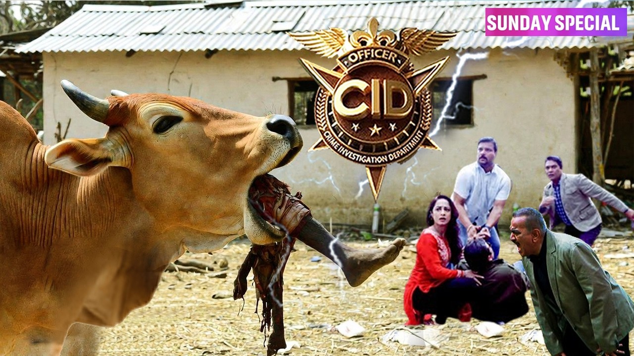 Sunday Special CID 2026 : जब  Investigation Team के सामने आई इंसानो को निगलने वाली Jungli गाय