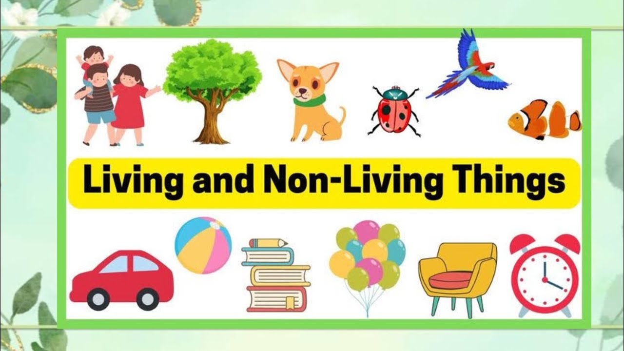 Difference Living Things & Non-Living Things || #learning #educationalvideo for kid's || @Rubaaa221 