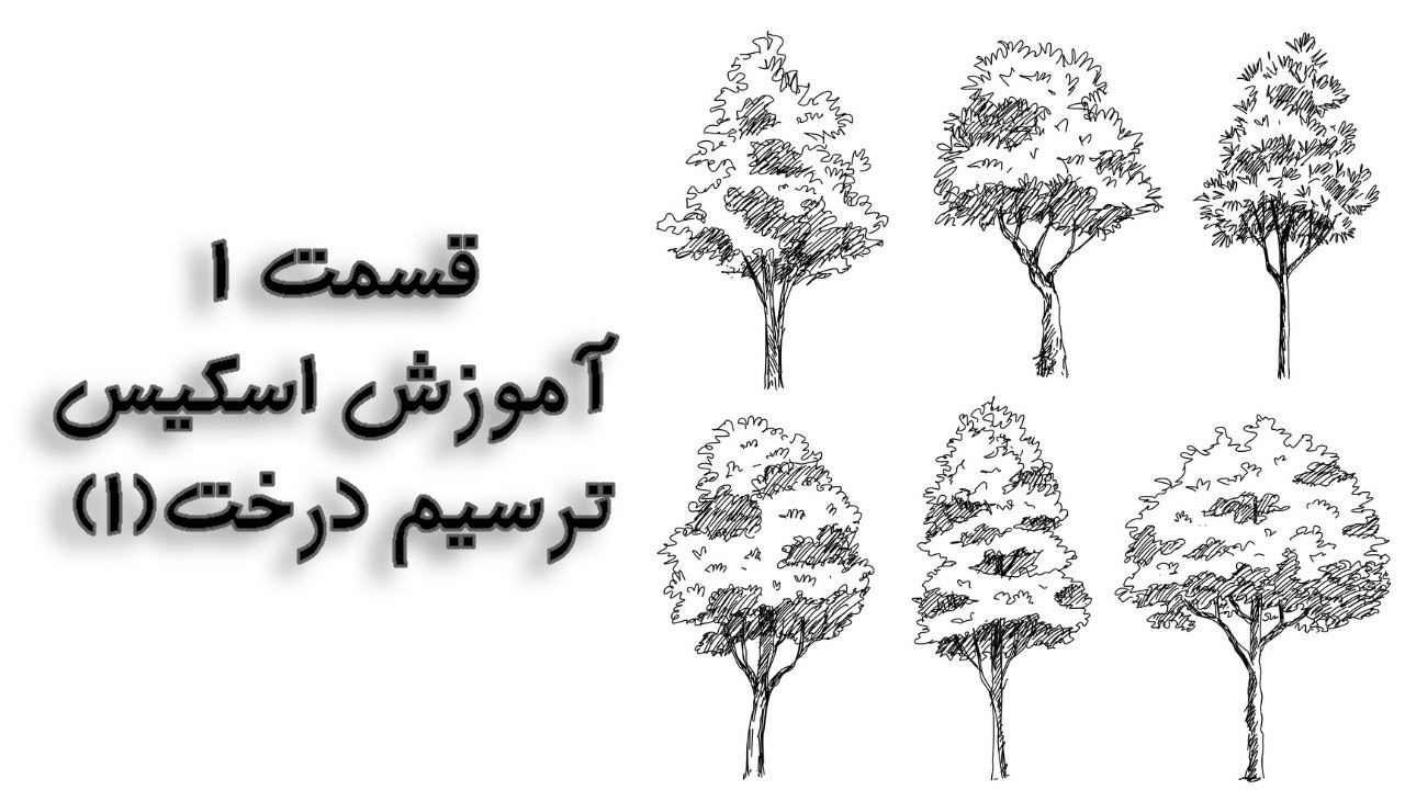 قسمت 1 آموزش اسکیس - ترسیم درخت