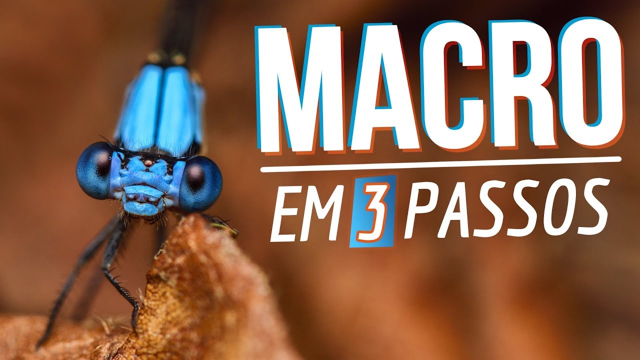 FOTOGRAFIA MACRO COM QUALQUER EQUIPAMENTO | Funciona!