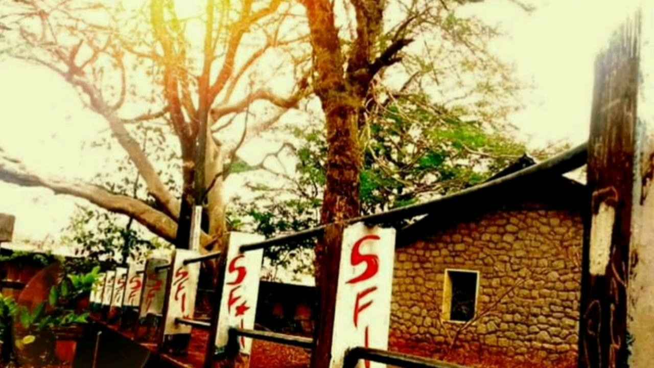 കോളേജ് life -SME KOTTAYAM-Nostalgia-frienship-programes-politics......