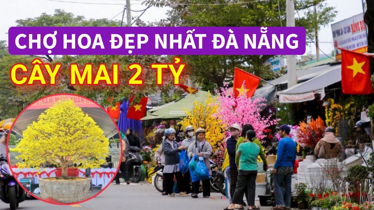 Chợ hoa đẹp nhất Đà Nẵng nhộn nhịp trong ngày tết | EM QUÍ MIỀN TRUNG