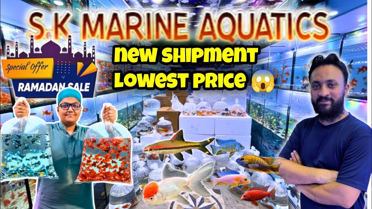 2026 Biggest Ramadan Sale! 🌙 S.K Marine Aquatics New Shipment & Lowest Prices | Kami Razzaq