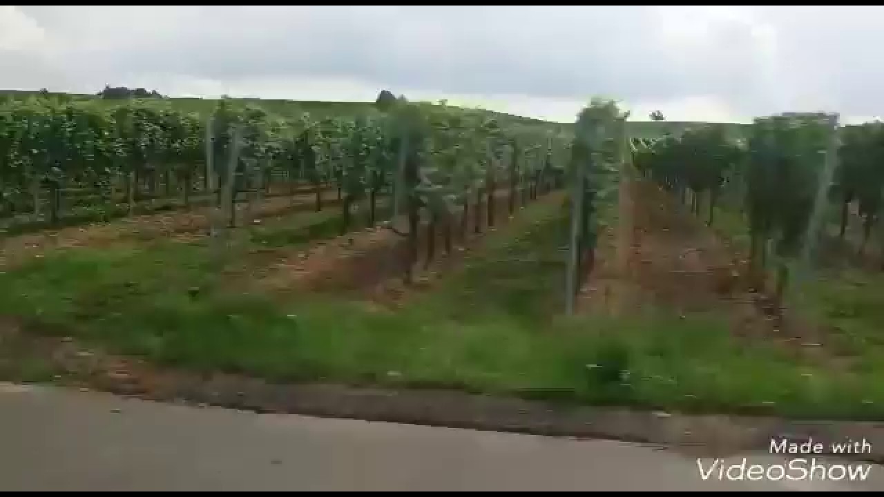 Юг Германии .Бавария.