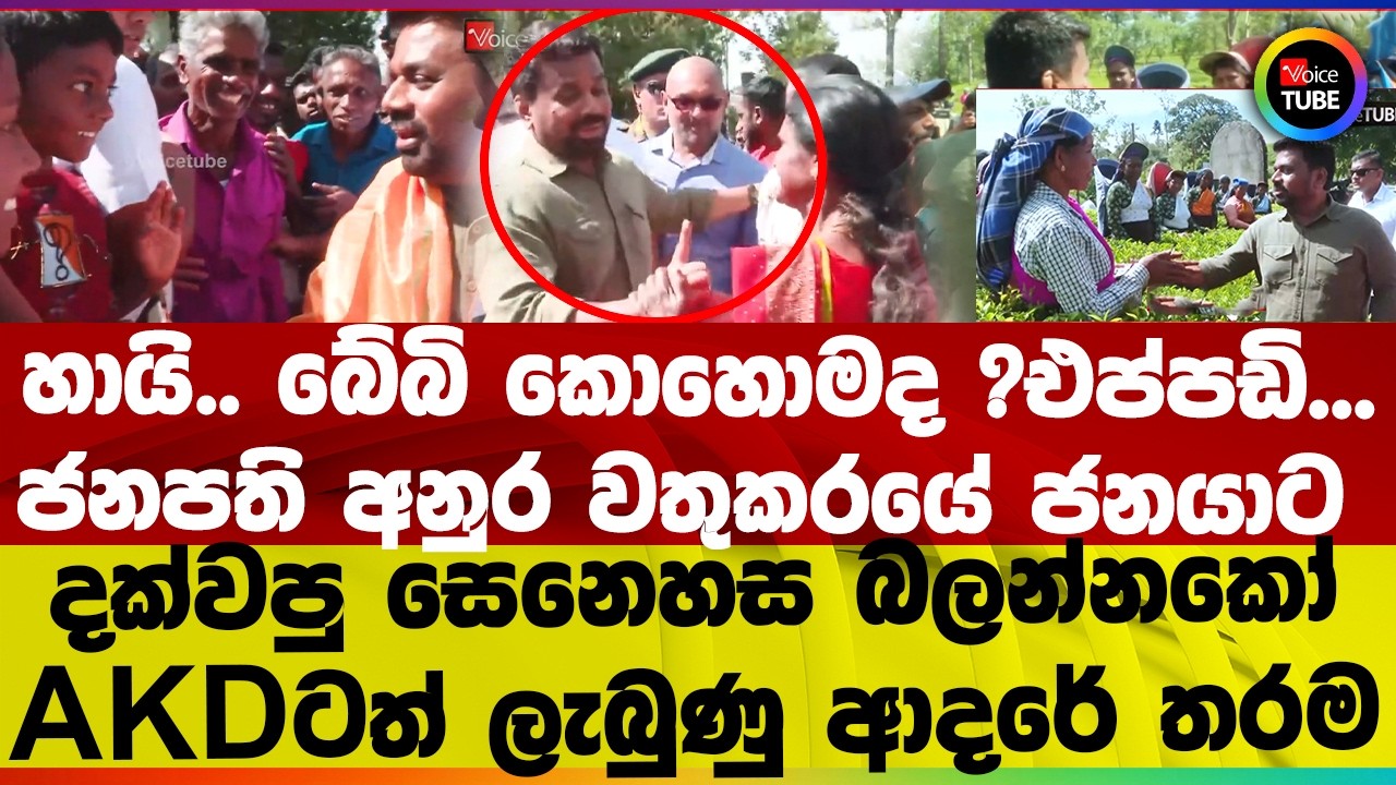 හායි.. බේබි කොහොමද ?එප්පඩි...ජනපති අනුර වතුකරයේ ජනයාට දක්වපු සෙනෙහස බලන්නකෝ AKDටත් ලැබුණු ආදරේ තරම