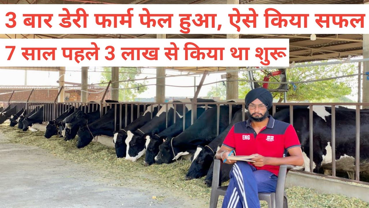 3 बार डेरी फार्म फेल हुआ, ऐसे किया सफल । How to make dairy business profitable? VEER DAIRY FARM ।