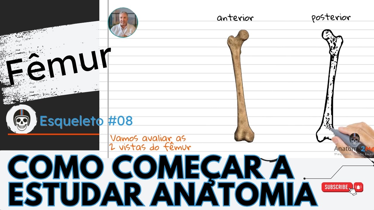 ESQUELETO HUMANO #08 - O Segredo para Decorar a Anatomia do Fêmur em 1 Minuto!