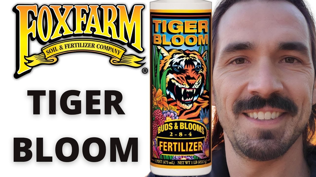 Fox Farm Tiger Bloom