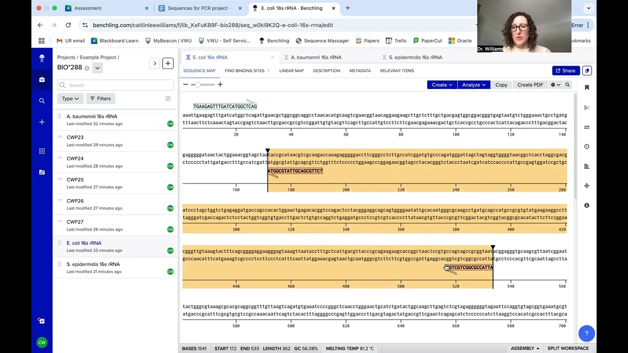 Lab 5 - Video 4 - Measuring PCR products