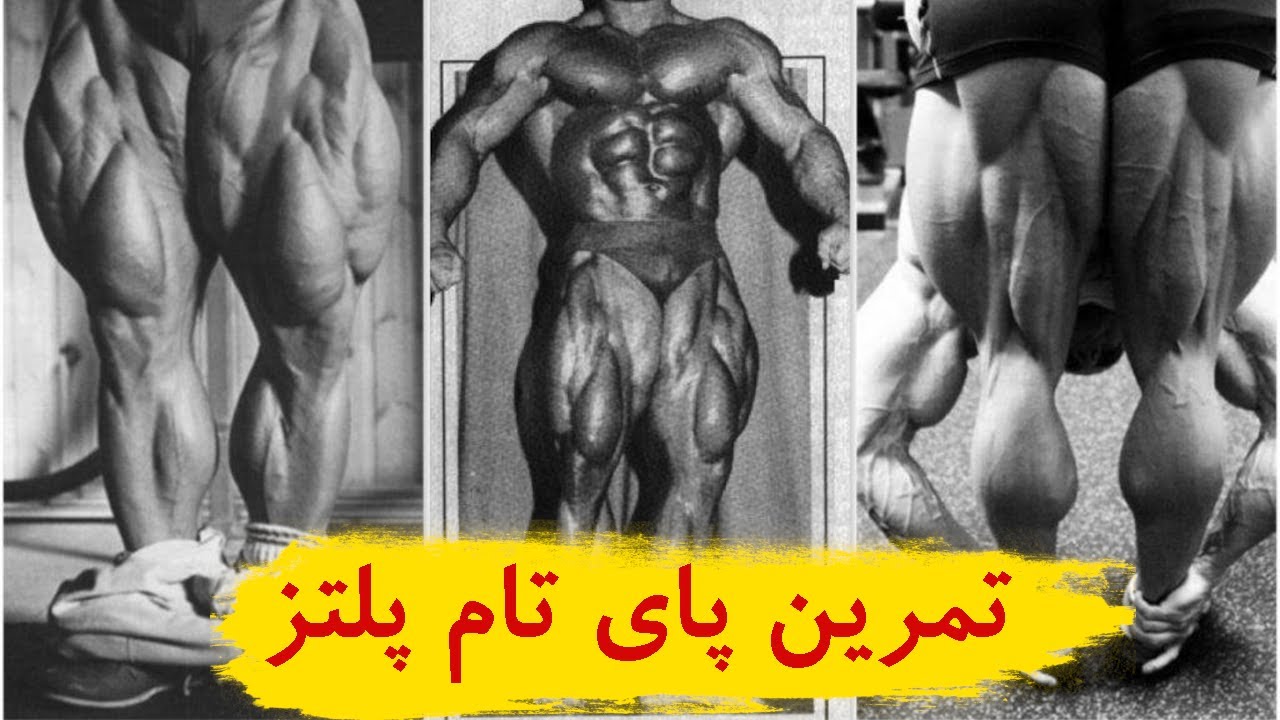 تمرین پای تام پلتز |  بهترین عضلات پا در تاریخ بدنسازی