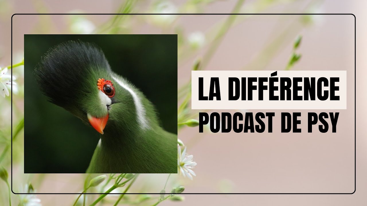 Pourquoi se sent-on différent ? Le sentiment de différence expliqué par Psychoélie