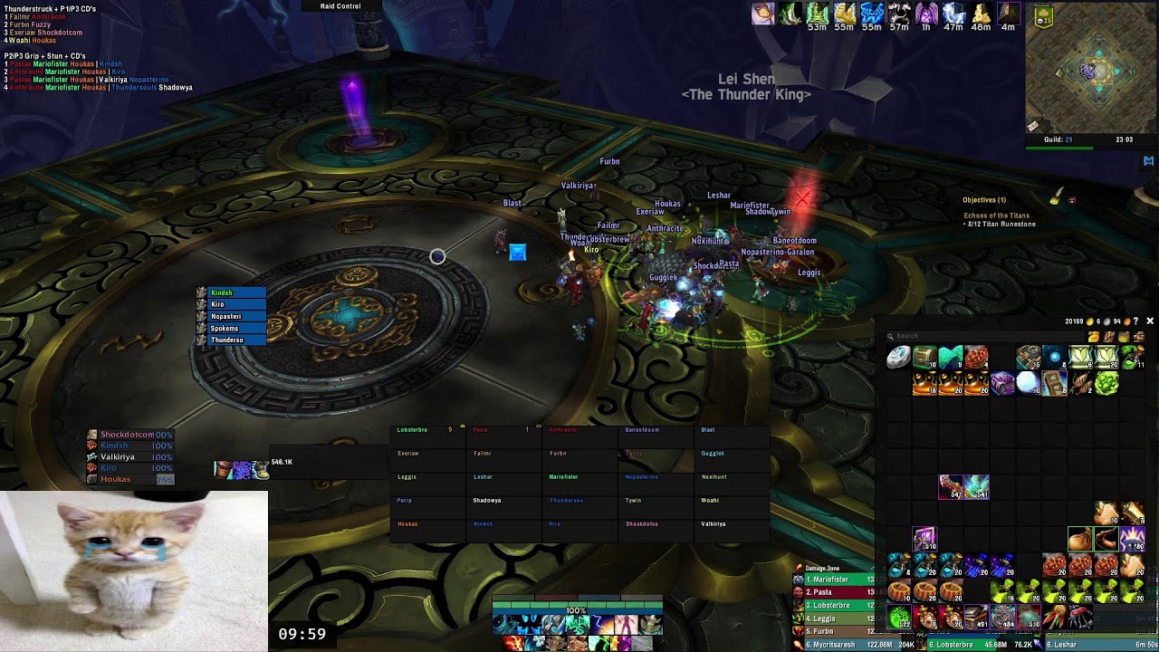 Throne of Thunder 25 HC - Resto Shaman PoV