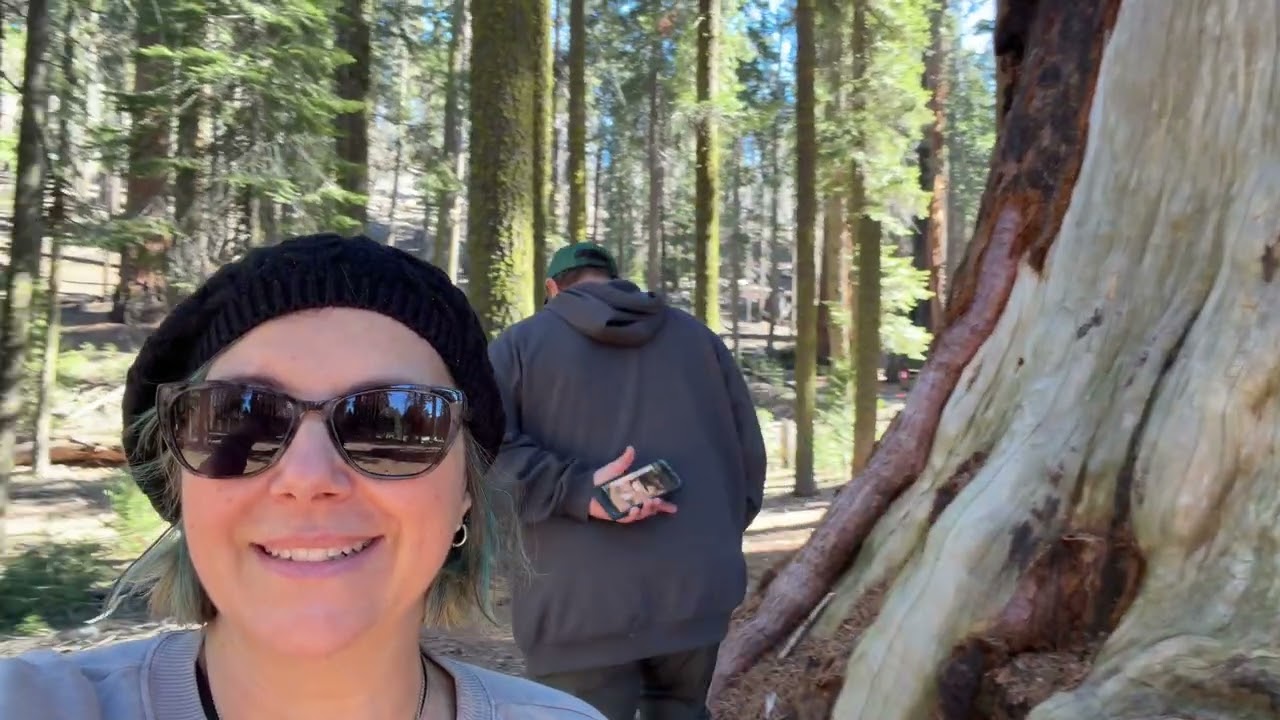 Giant Forest #sequoias #soberaf #recovery #traumainformed #vanlife