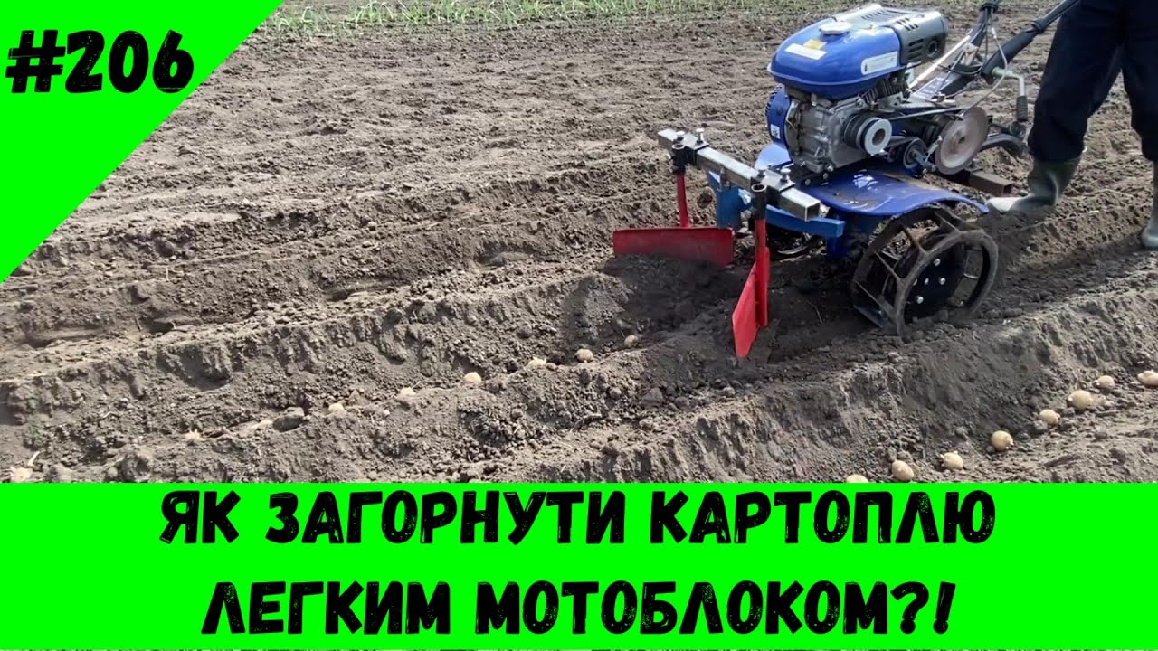 Як загорнути картоплю легким мотоблоком!?