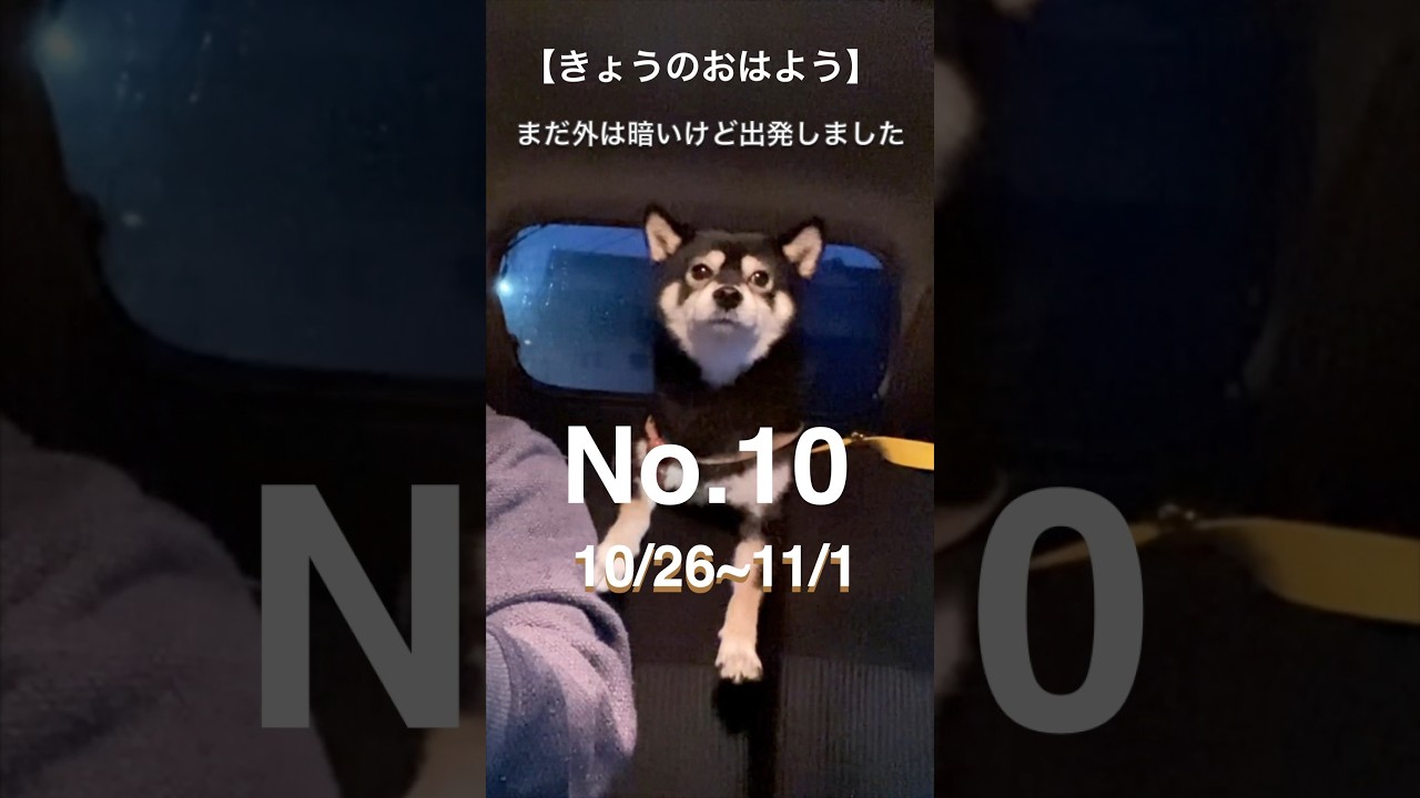 【きょうのおはよう】No.10【10/26~11/1】