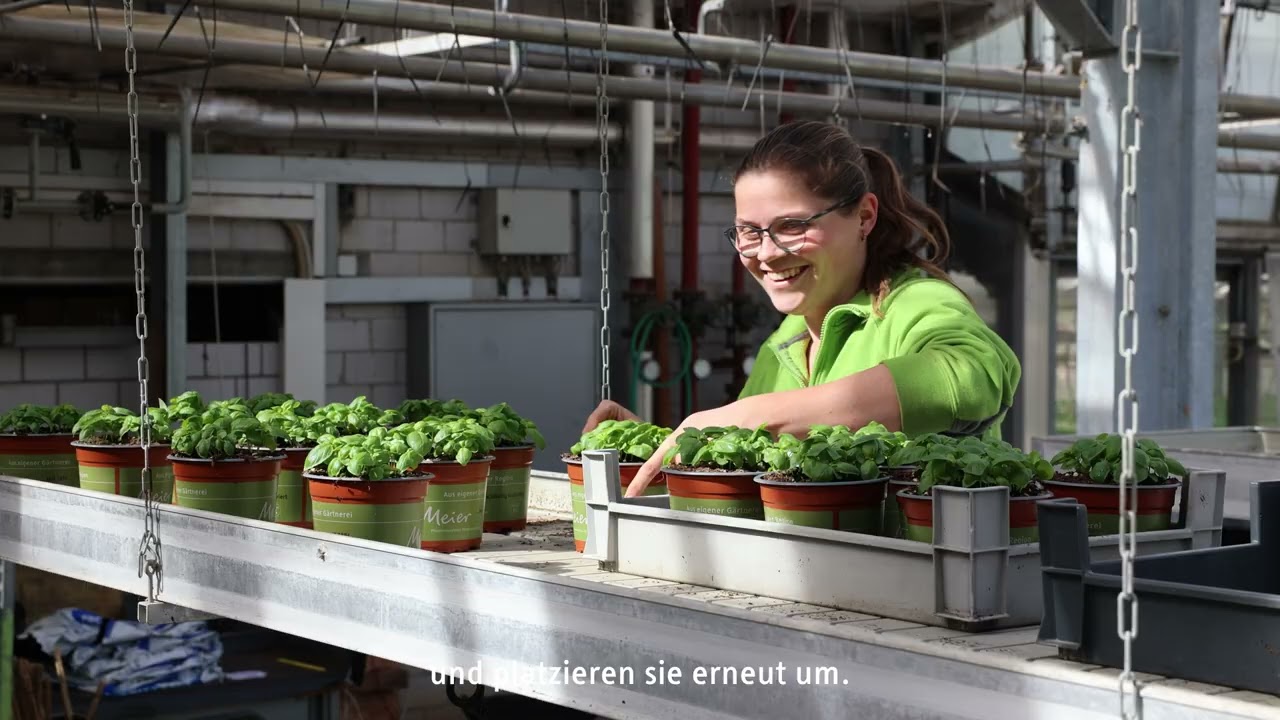 Blick hinter die Kulissen: Wie kommen die Pflanzen ins Garten-Center?