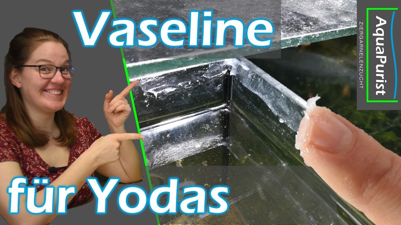 Vaseline für die Yodas - Damit die Yoda Schnecken hoffentlich nicht mehr ausbüxen...