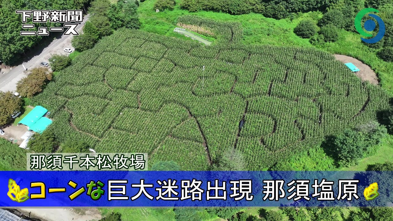 コーンな巨大迷路出現　那須塩原