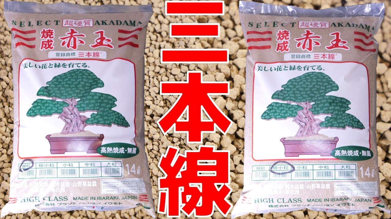 【園芸用低床】硬質赤玉土と謳っていても指ですぐ潰れる低品質が多い世界。性能ナンバー1を入手したので注水してみた！プランティーションイワモト 登録商標三本線 焼成硬質赤玉土細粒/極小粒【ふぶきテトラ】