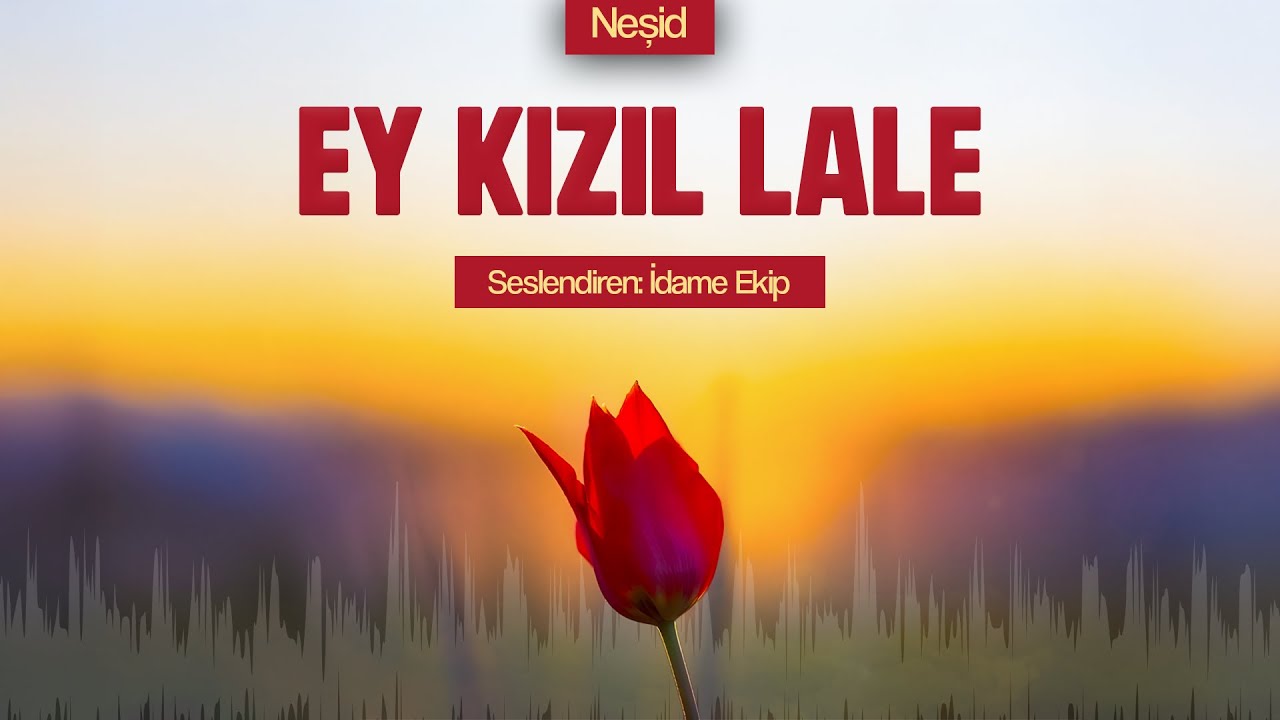 EY KIZIL LALE | M&Uuml;ZİKSİZ T&Uuml;RK&Ccedil;E NEŞİD