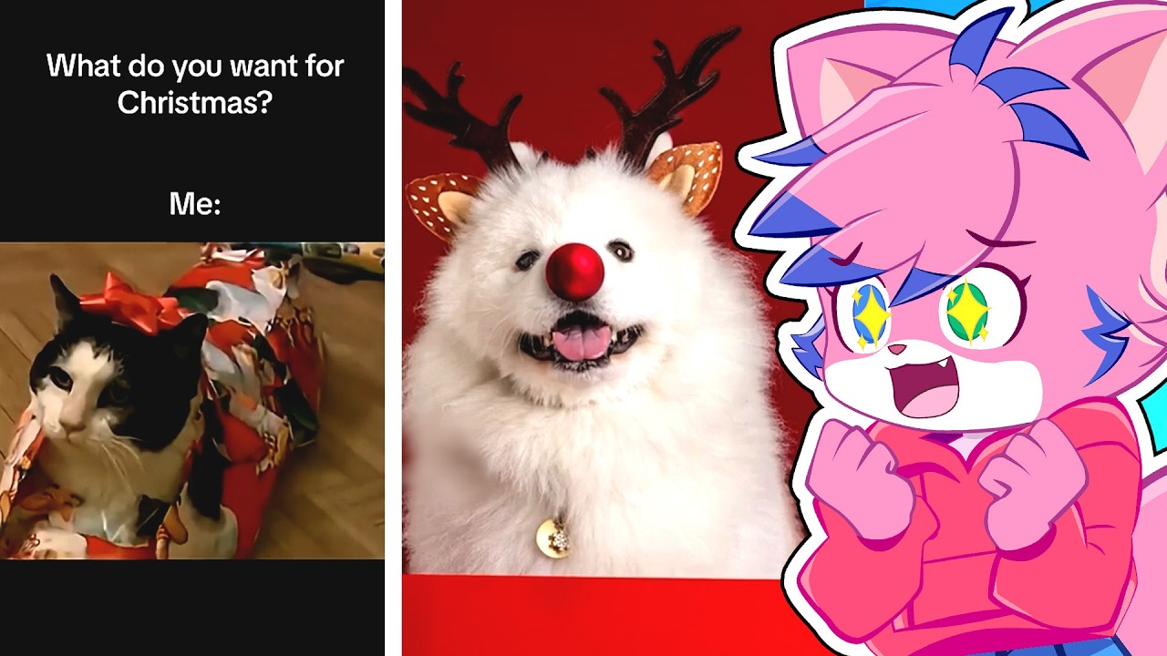 Christmas Tik Toks to Get You in the Holiday Vibe!