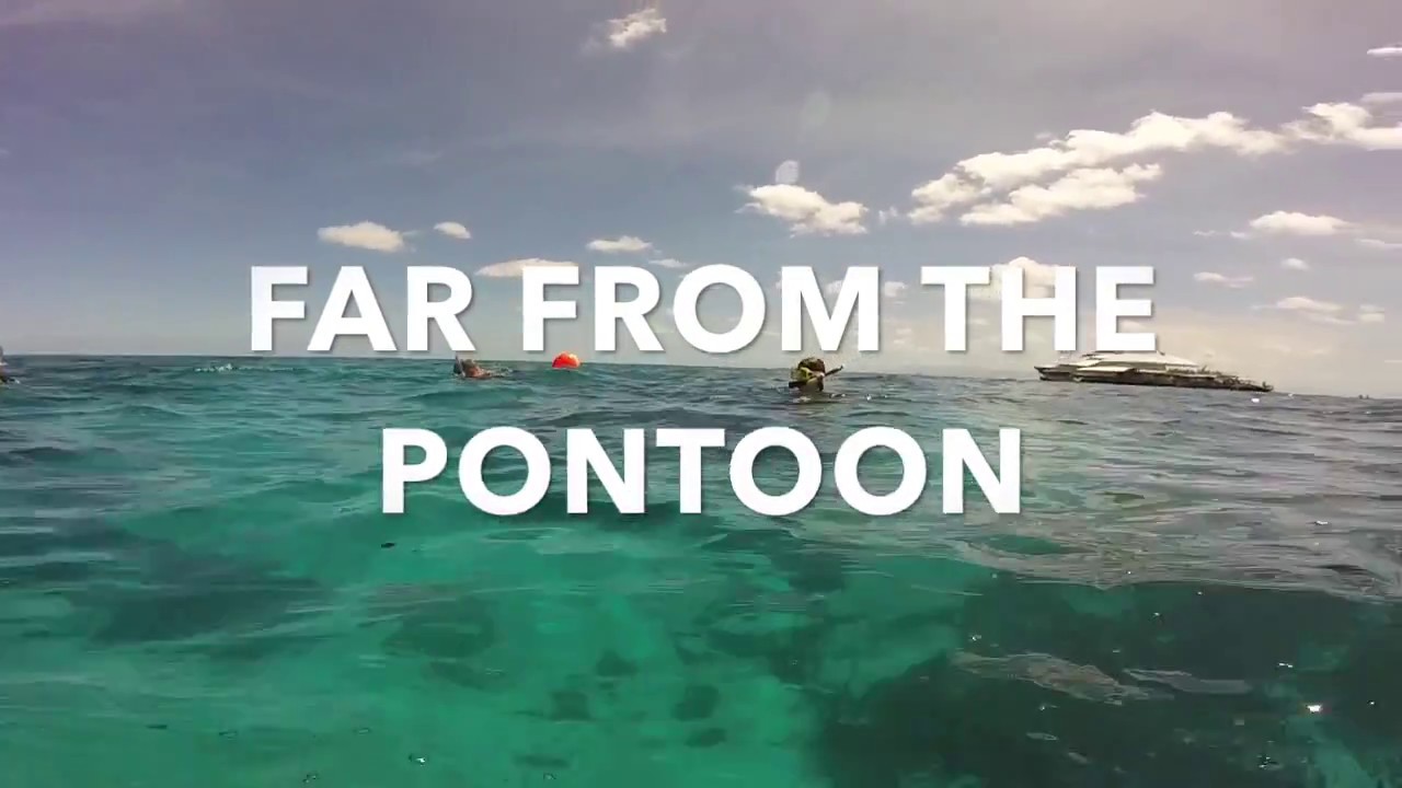 QUICKSILVER’S ADVANCED GUIDED SNORKEL TOUR - PORT DOUGLAS