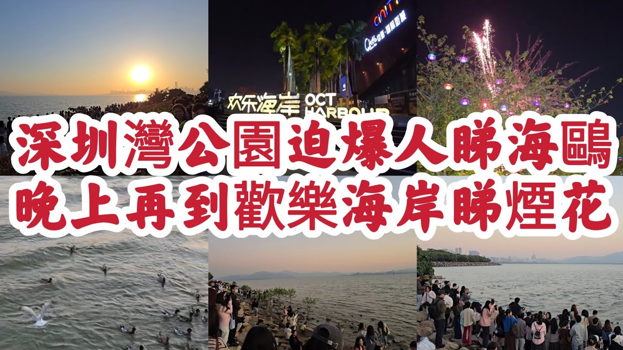 深圳灣公園迫爆人睇海鷗 睇日落吹海風！晚上再到歡樂海岸睇煙花！