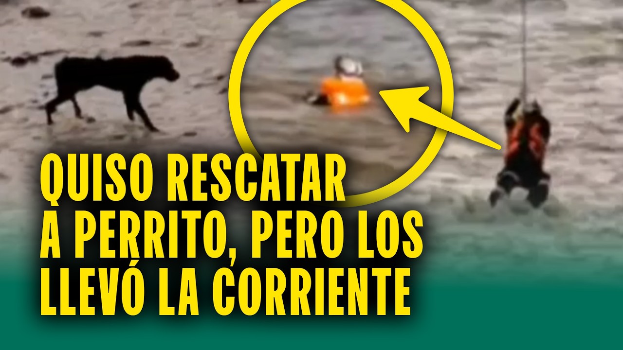 Polic&iacute;a y perro callejero son arrastrados por el r&iacute;o R&iacute;mac: 