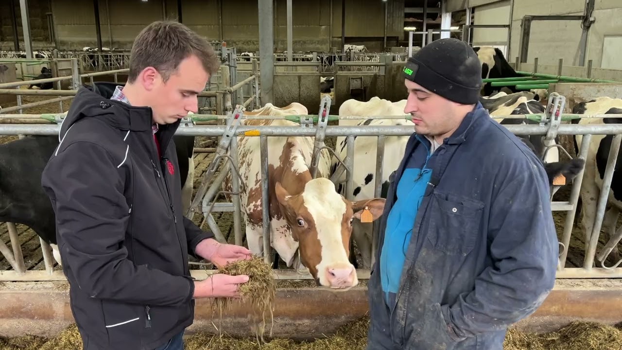Reportage Maxime Mabille: ‘Une Alimentation Optimisée Pour Des Performances Maximales’