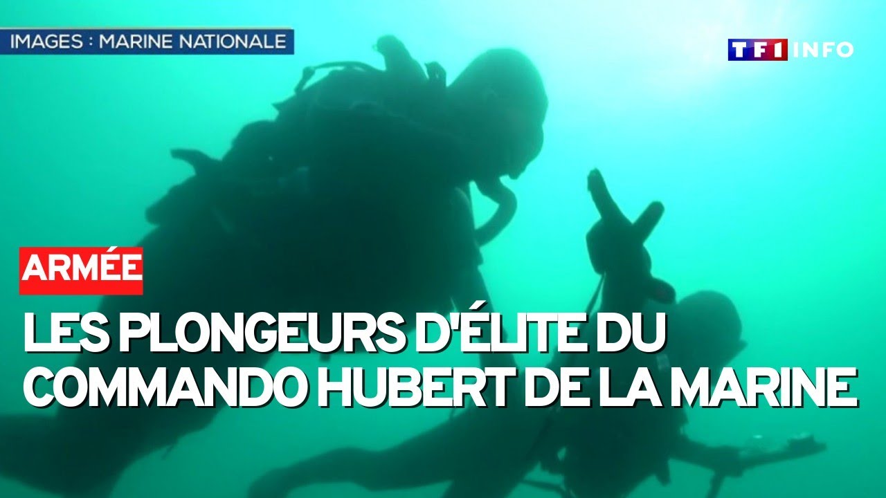 Aux côtés des plongeurs d'élite du mythique commando Hubert de la Marine