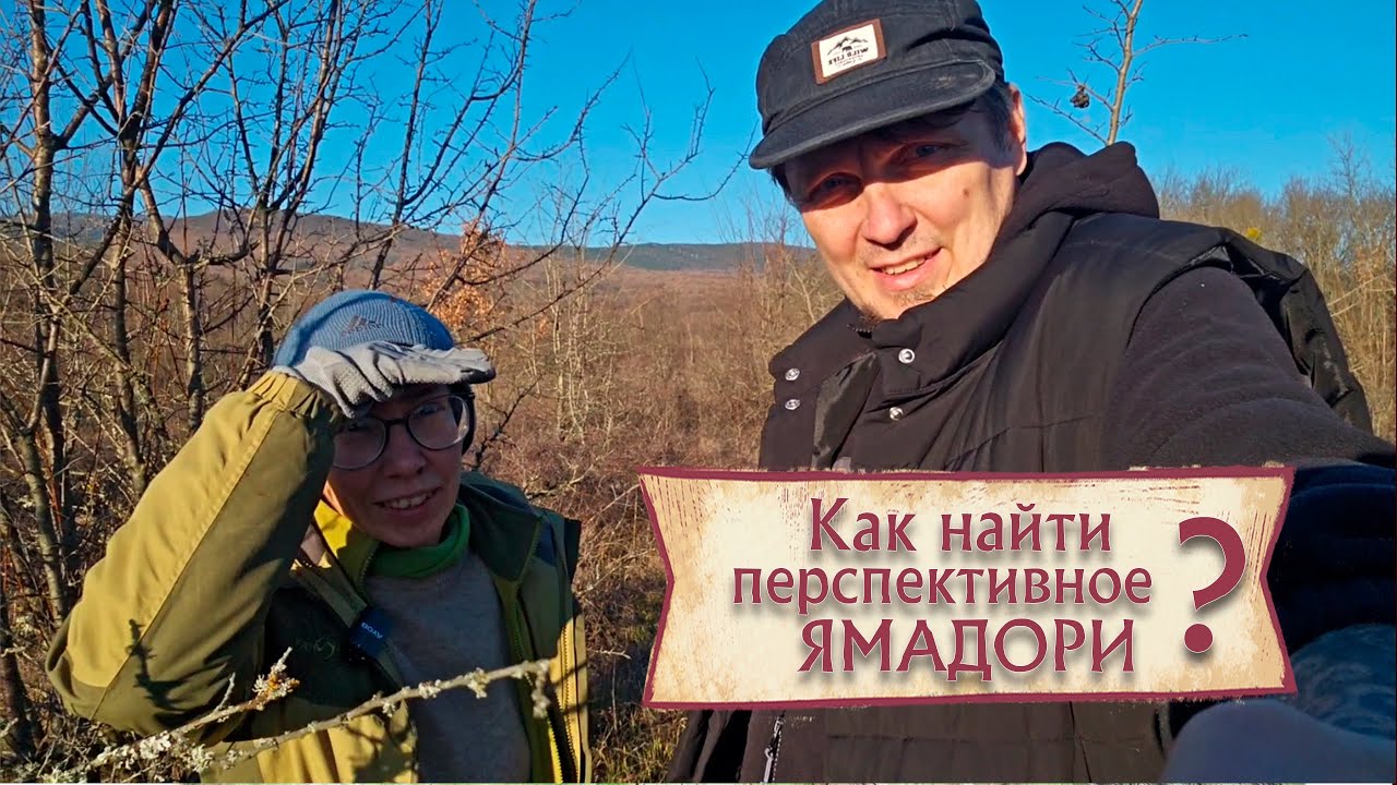 Как найти перспективное ямадори? 