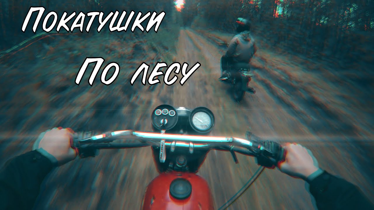 Покатушки по лесу