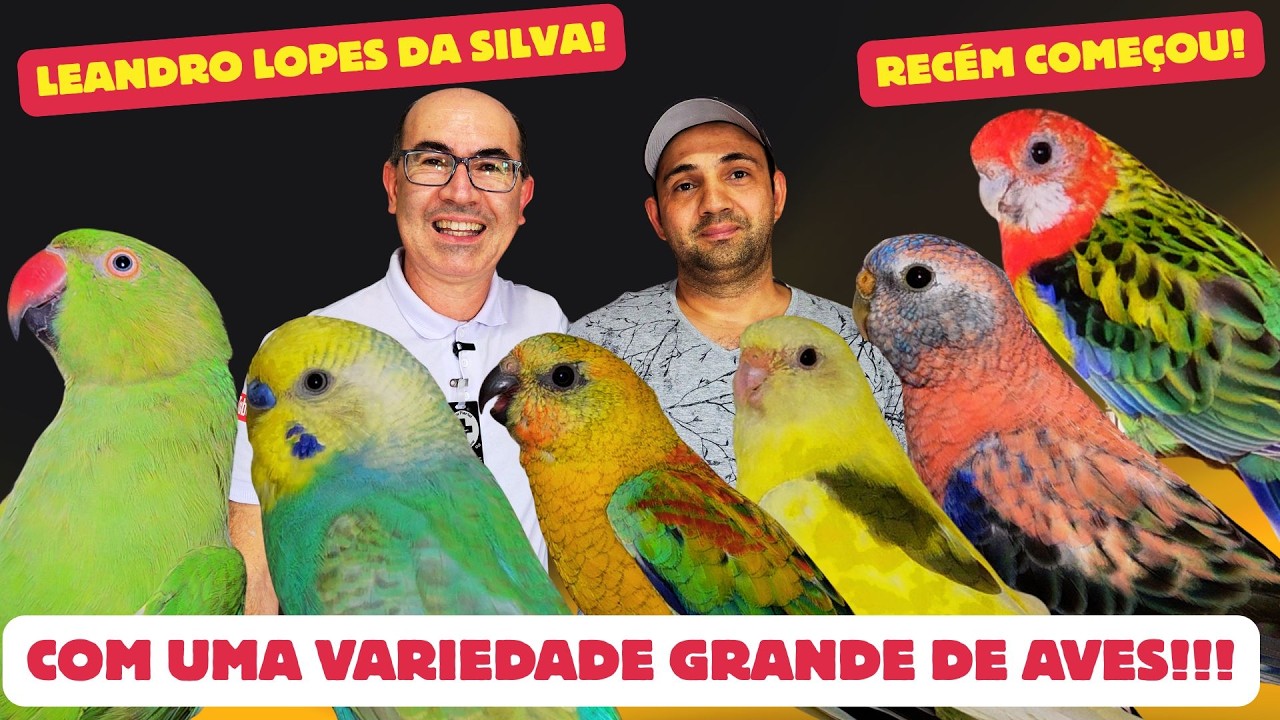 ESSE CRIADOR quase MORREU de SUSTO!! COMEÇOU com VÁRIAS ESPÉCIES!!!
