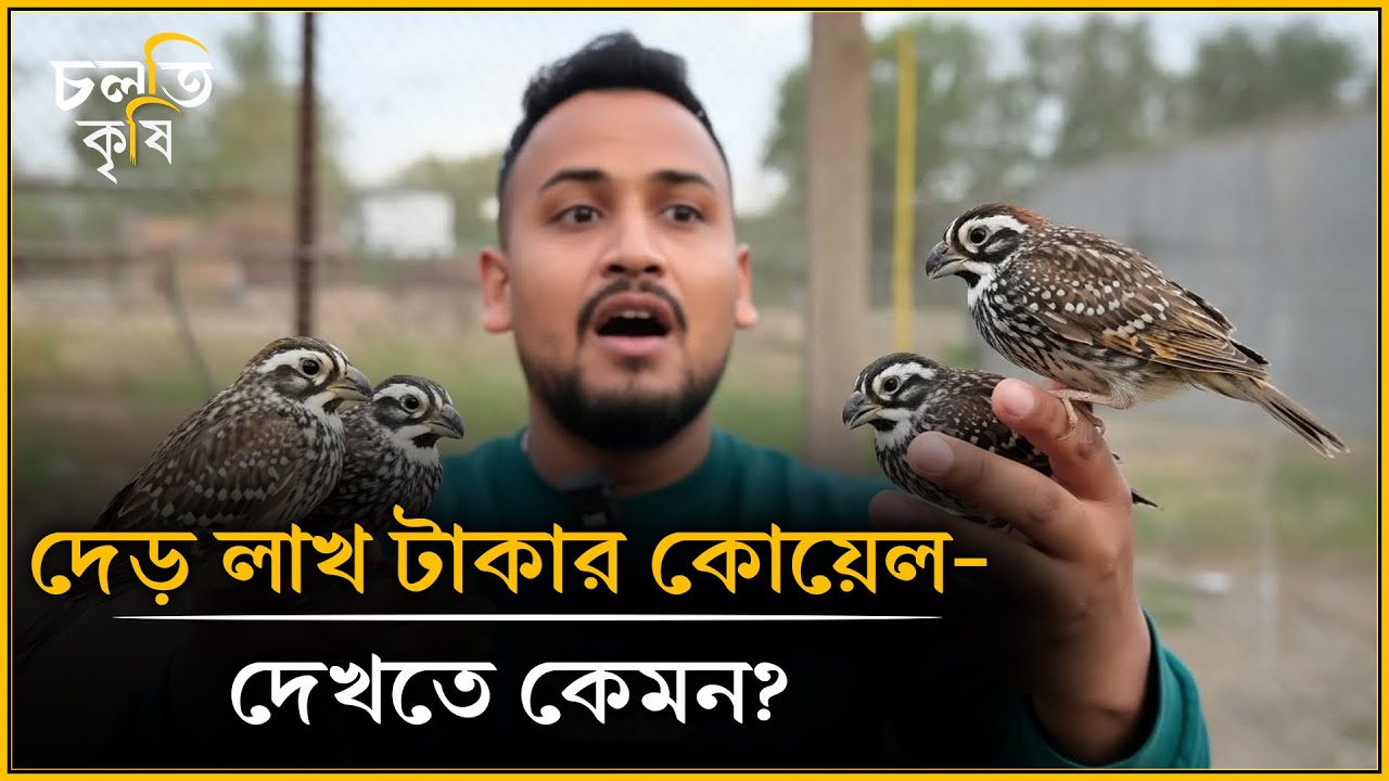 বাংলাদেশে প্রথম এবং একমাত্র- আসুন দেখি | চলতি কৃষি