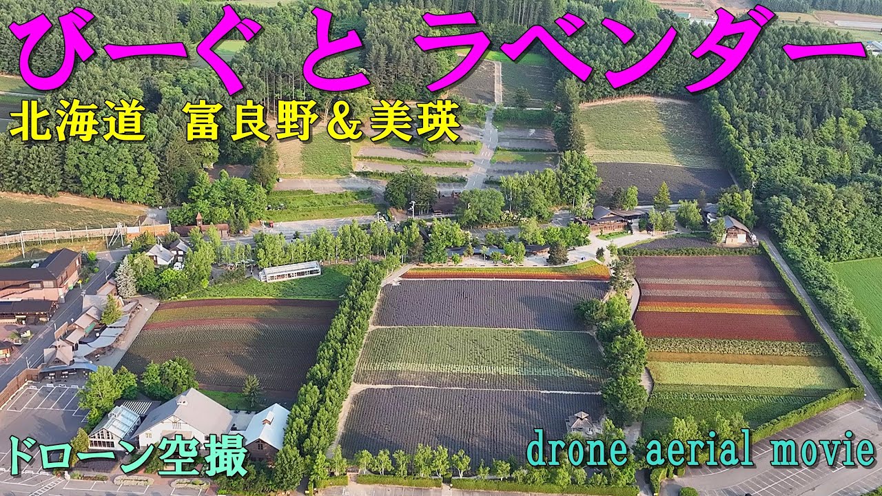 【絶景】ラベンダー＆四季彩の丘 と びーぐ Japan, Hokkaido, 