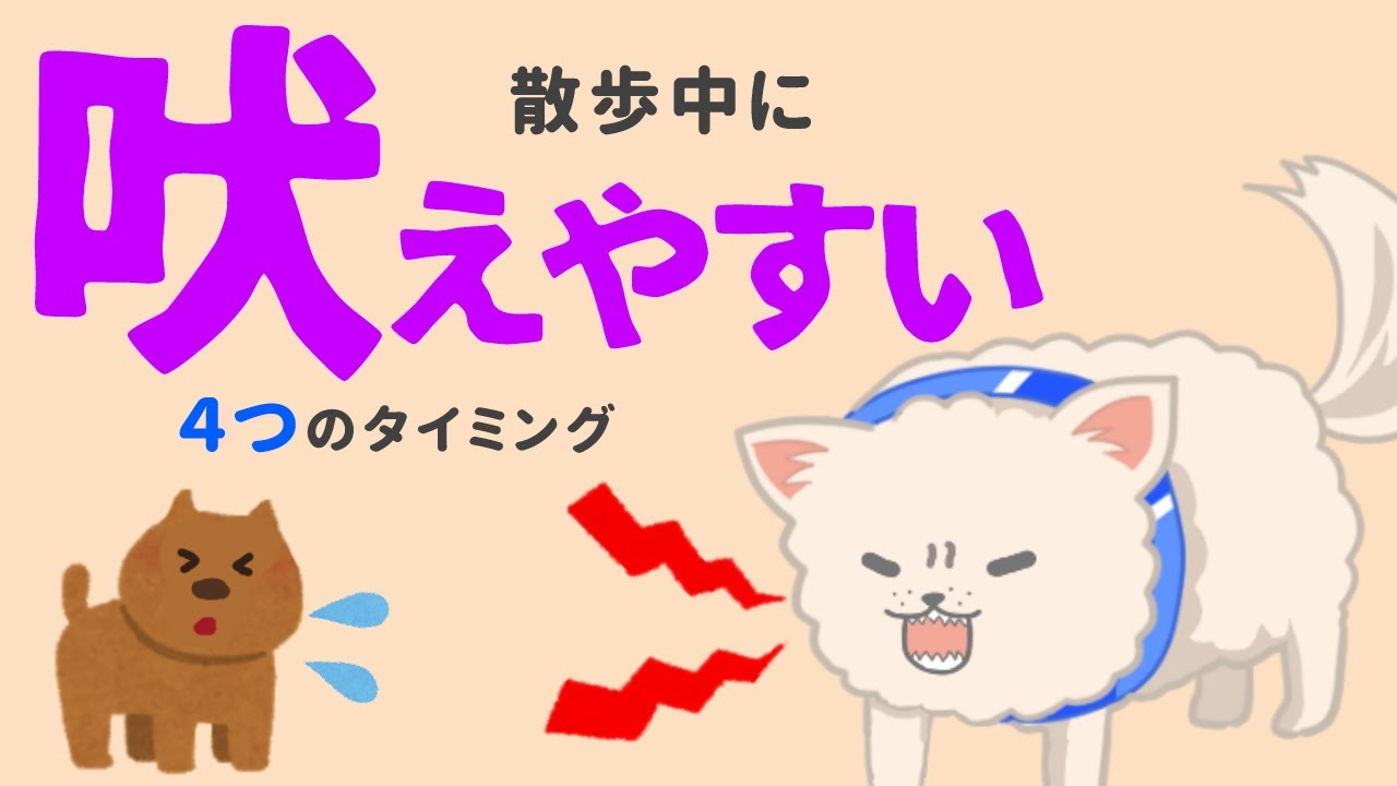 散歩のムダ吠え対策！犬が吠えやすい4つのタイミング