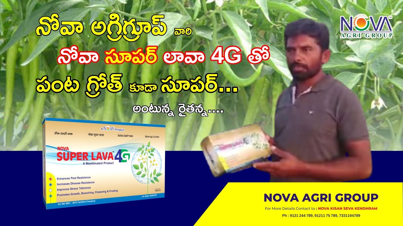 Happy Farmer | Bikshn Reddy Garu | NOVA SUPER LAVA 4G | Chilli Crop....