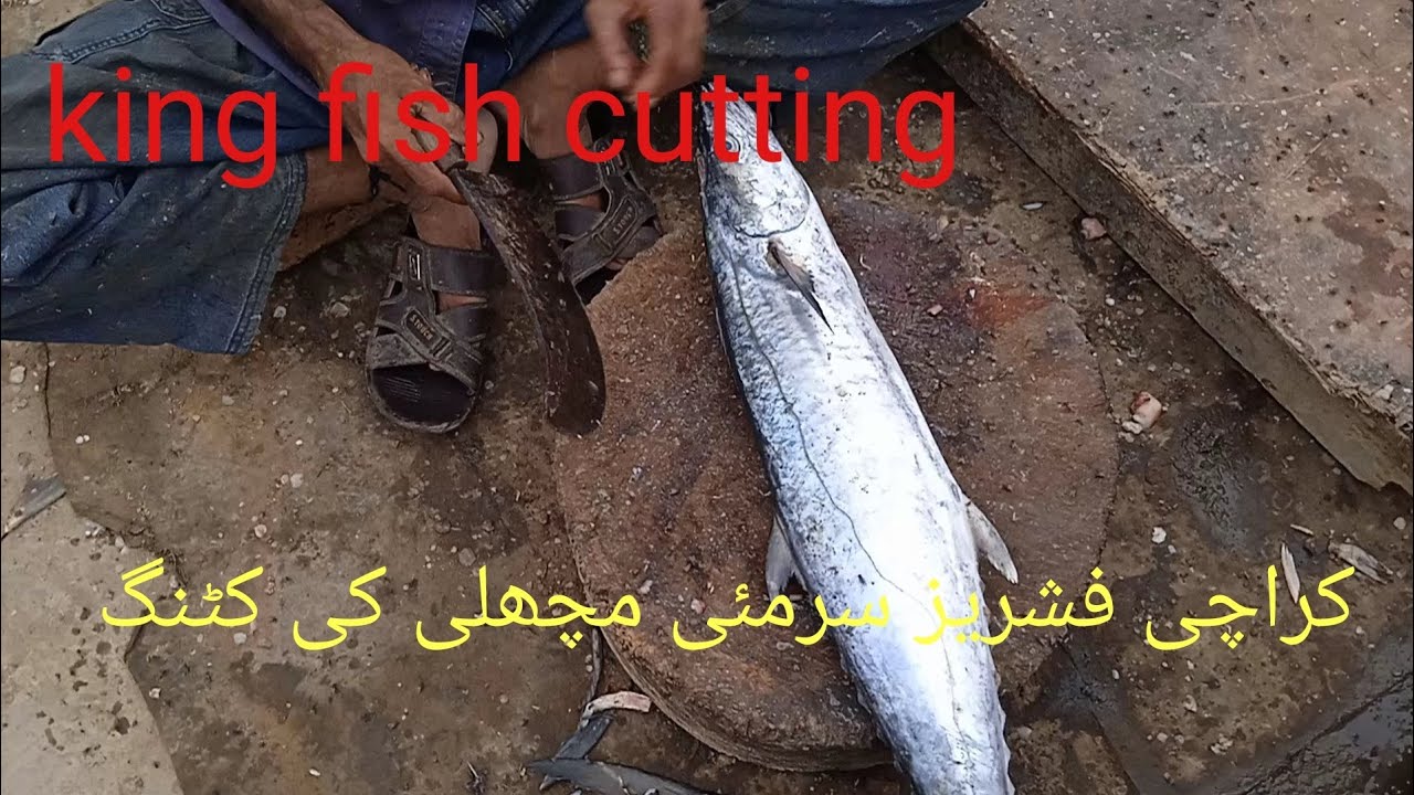 |fish video |pakistan fish market| king fish cutting|Karachi fishries