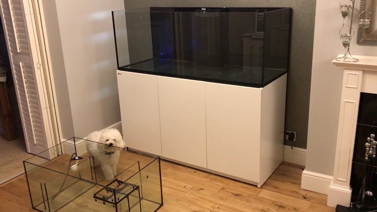Setting up Red Sea reefer 525 xl