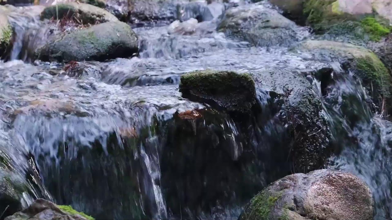 The babbling of a stream and the singing of birds