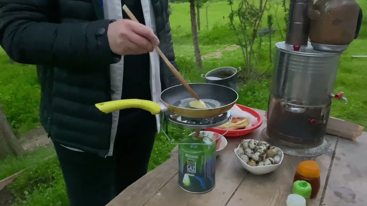 Bıldırcın yumurtasıyla şaşırtan omlet tarifi / Şimşek Botanik / Altınordu-Ordu