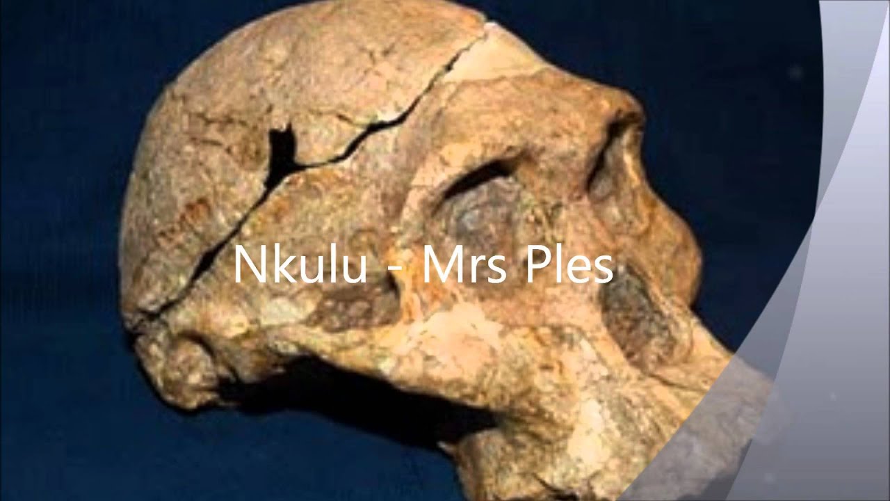 Nkulu - Mrs Ples.wmv