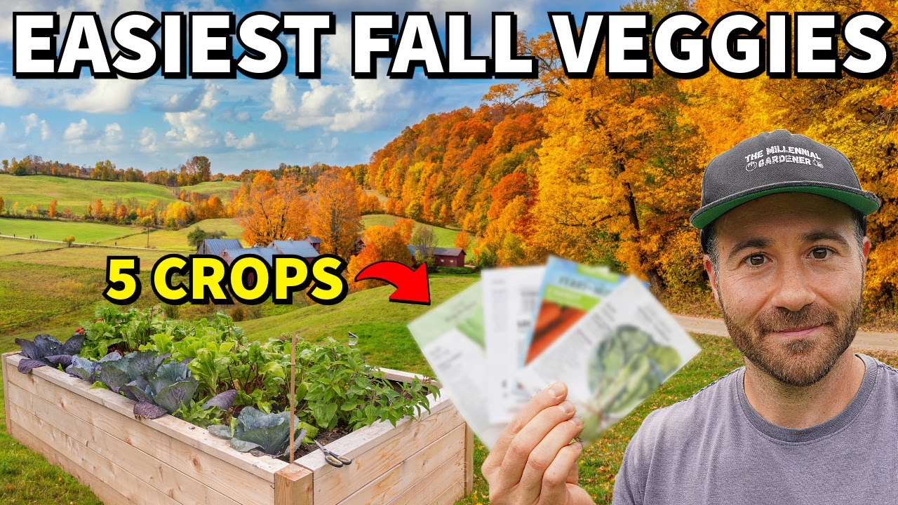 5 Easy Veggies To Plant In Fall And FORGET All Winter!