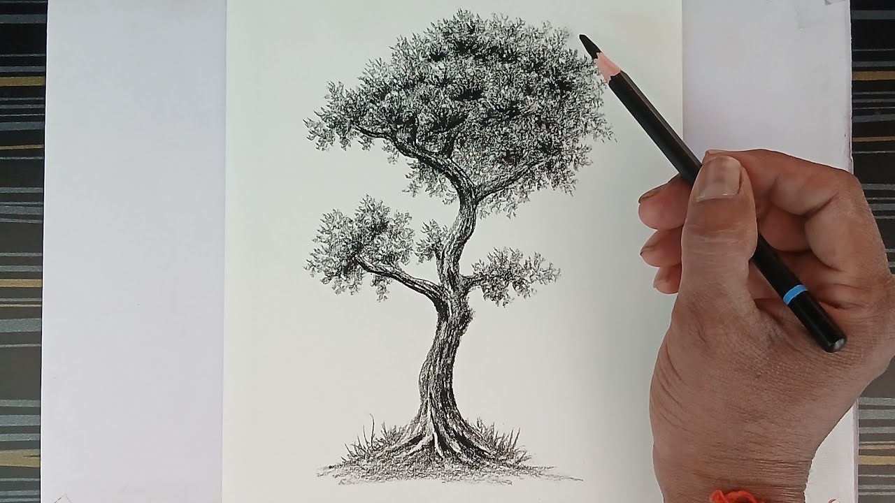 GP Like is live / How to draw a tree by pencil for beginners.