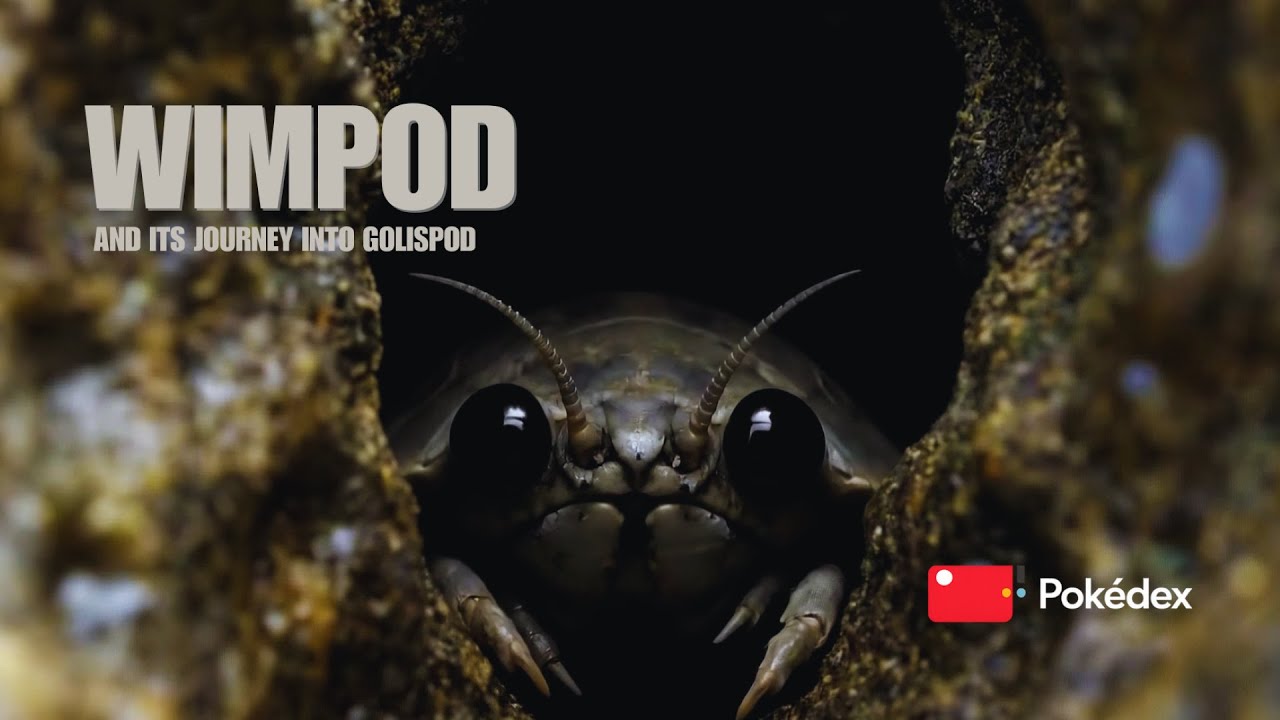 The Armor of Survival: Wimpod's evolves to Golisopod - Pokémon Real Life Pokémon National Geographic